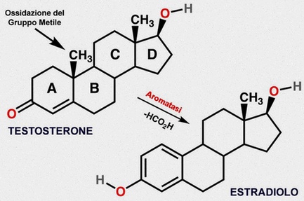 estradiolo